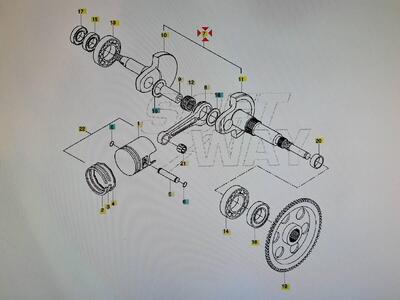 Albero motore SF 50 Hyosung
