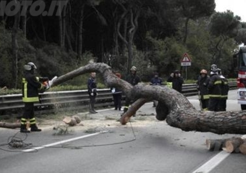 Roma: Servizio giardini sotto indagine