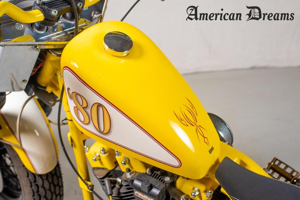 Harley-Davidson FL (10)