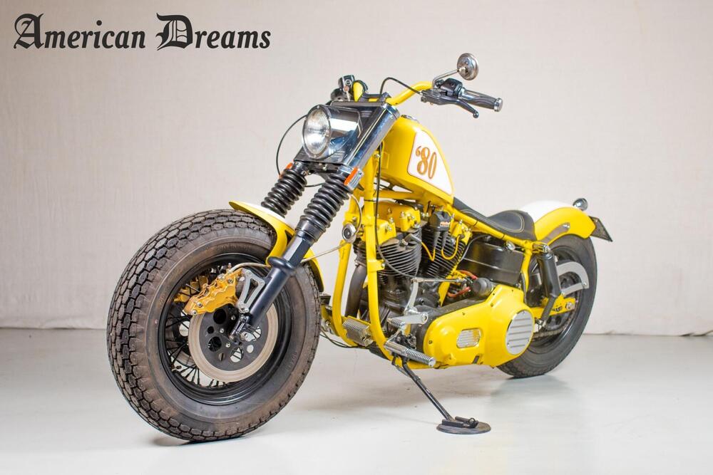 Harley-Davidson FL (3)