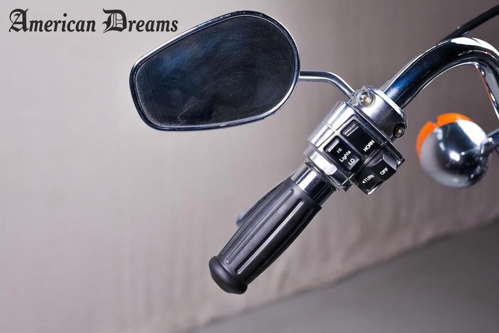 Harley-Davidson FXD 1340 CONSERVATA (18)