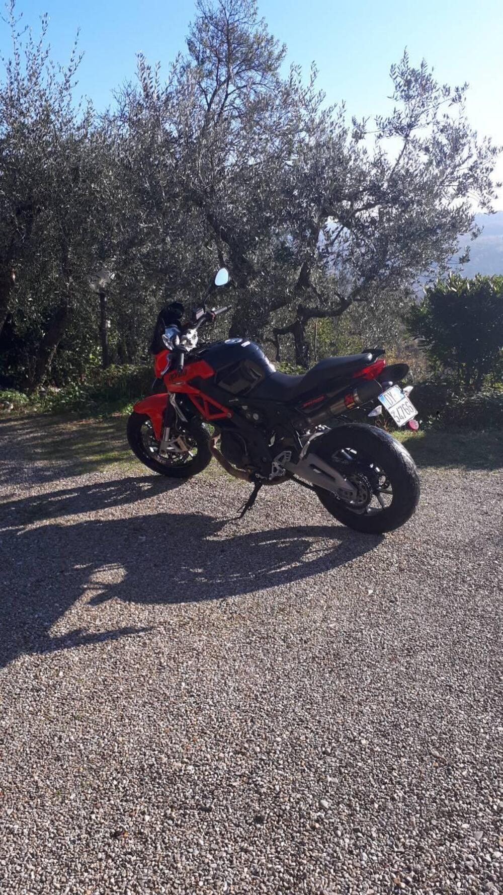 Aprilia Shiver 750 (2010 - 16) (3)