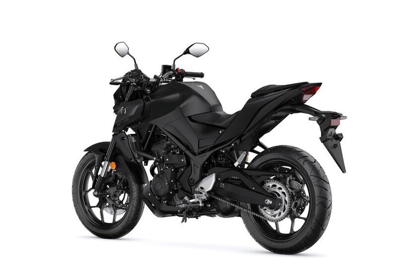 Yamaha MT-03 MT-03 (2022 - 24) (12)