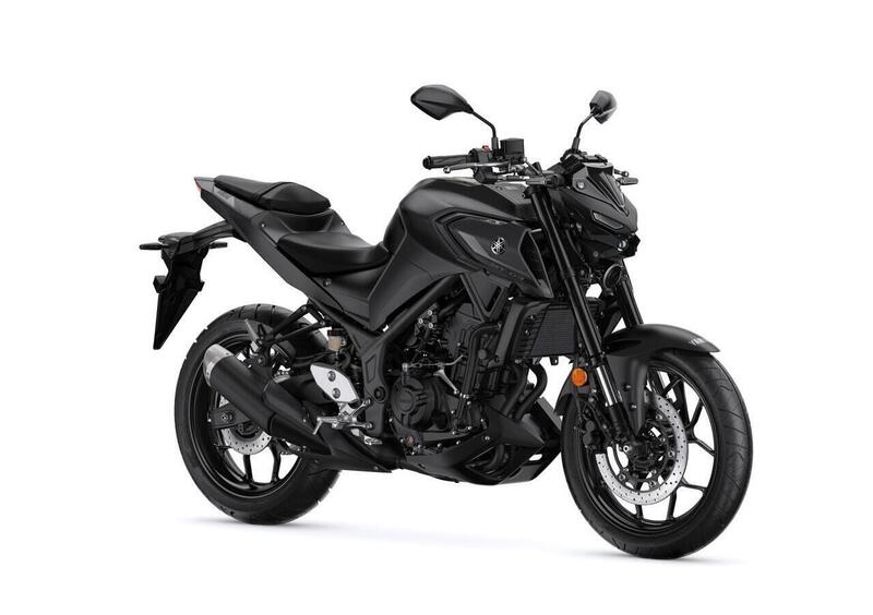 Yamaha MT-03 MT-03 (2022 - 25) (10)