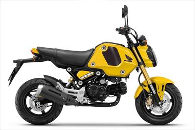 Honda MSX 125 Grom (2021 - 25) nuova
