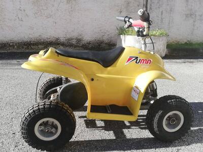  Altre moto o tipologie Minimoto usata