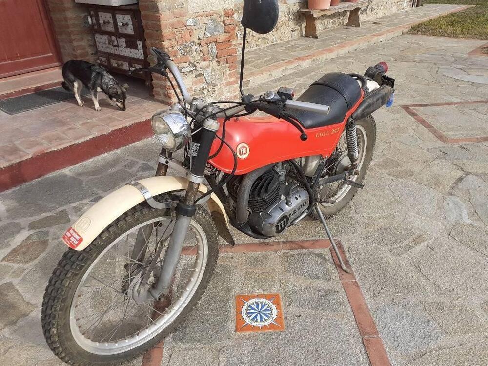 Montesa COTA 247 (2)