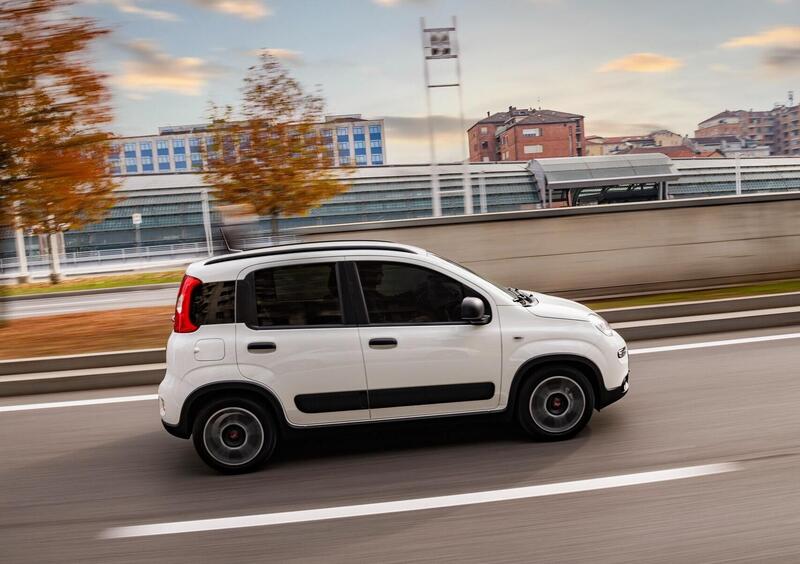 Fiat Panda (2)