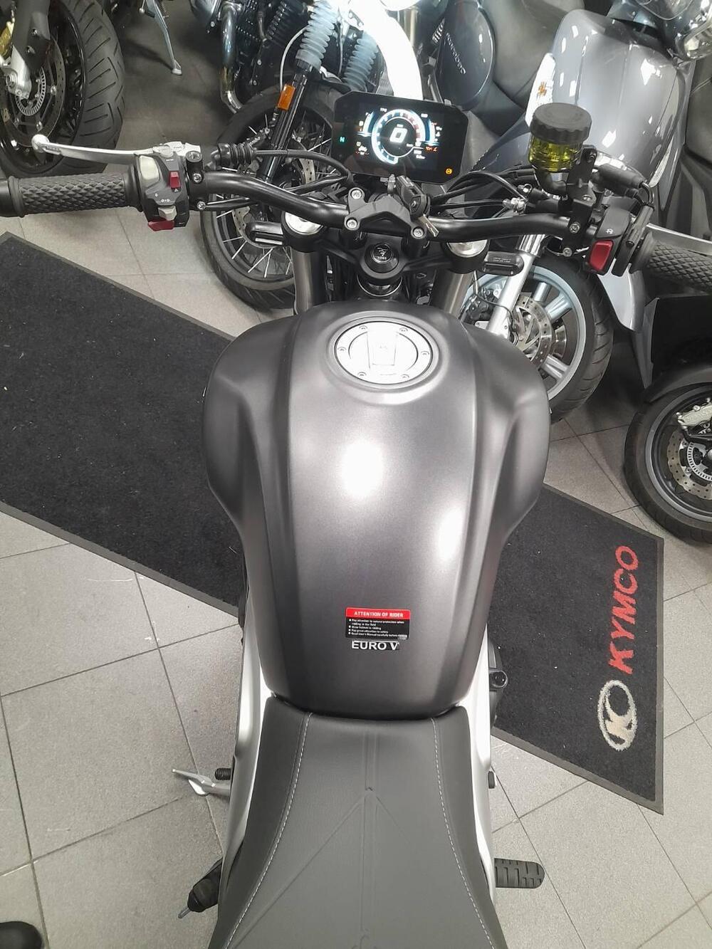 Voge Trofeo 500AC (2022 - 25) (6)