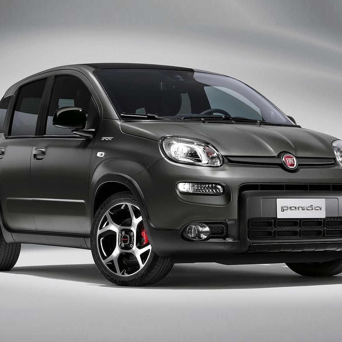 Fiat Panda (2011--&gt;&gt;)