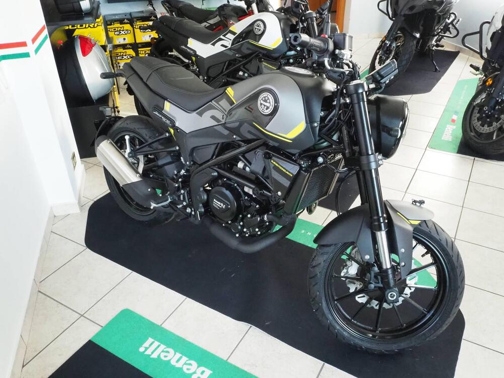 Benelli Leoncino 250 (2021 - 25) (9)