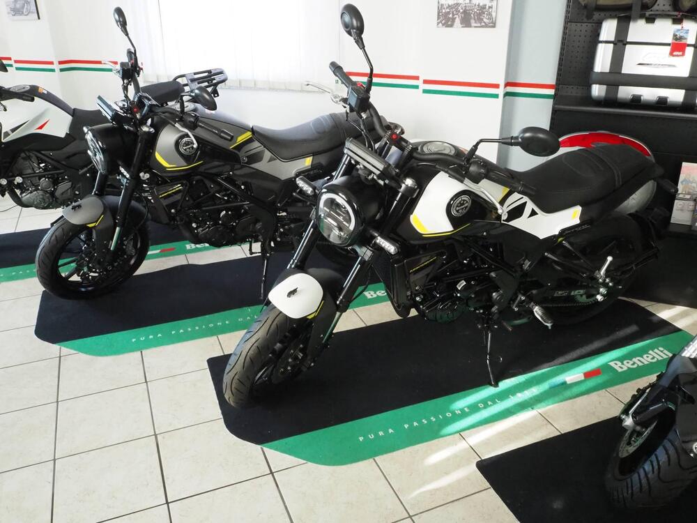 Benelli Leoncino 250 (2021 - 25) (10)