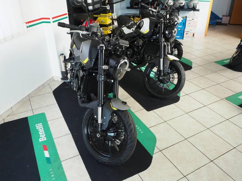 Benelli Leoncino 250 (2021 - 25) (11)