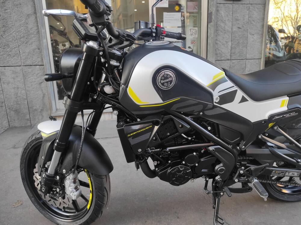 Benelli Leoncino 250 (2021 - 25) (18)