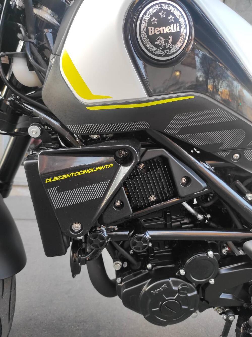 Benelli Leoncino 250 (2021 - 25) (20)