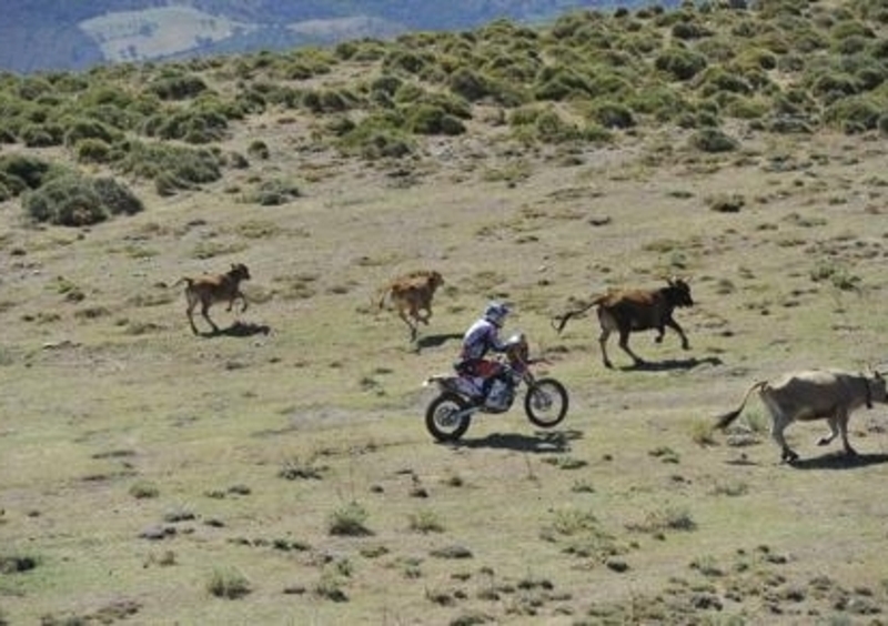 Sardegna Rally Race 2014, le novit&agrave; della settima edizione