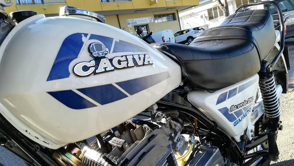 Cagiva Ala verde 250 (6)
