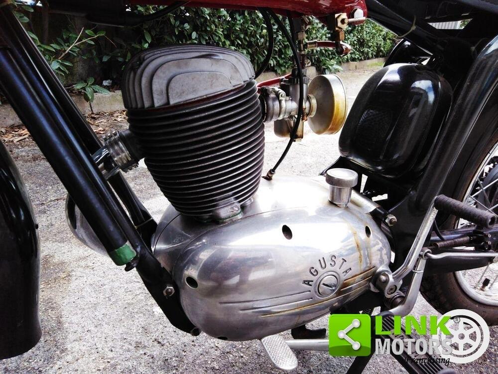 MV Agusta Sport 125 (3)