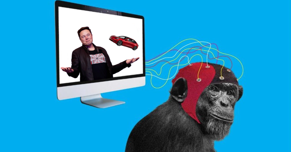 Non solo umani sulle Tesla: Musk in mezzo alle polemiche anche per la morte di 15 scimmie