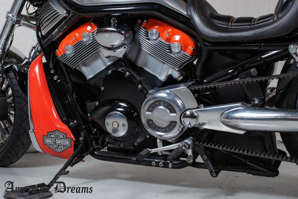 Harley-Davidson 1130 V-Rod (2002 - 05) - VRSCA (16)