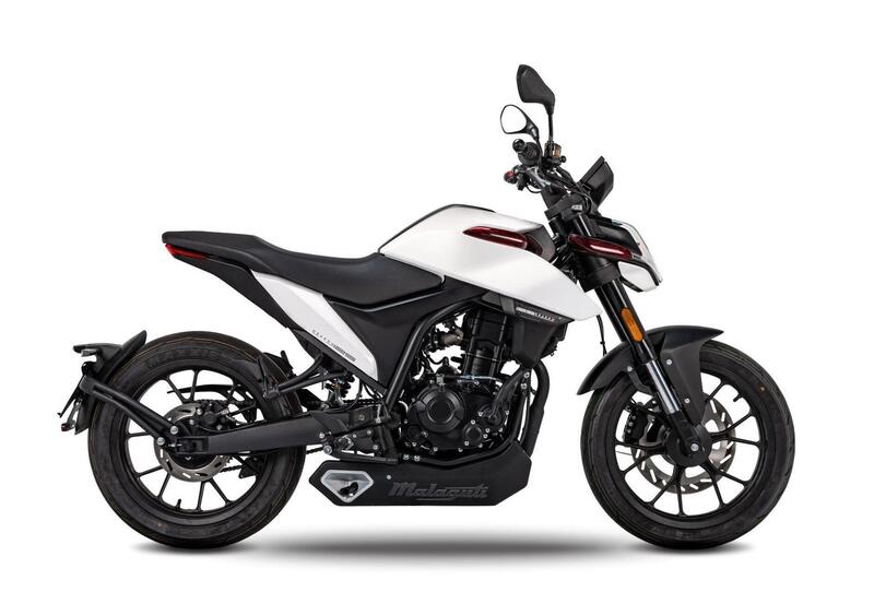 Malaguti Drakon 125 Drakon 125 (2022 - 25) (6)