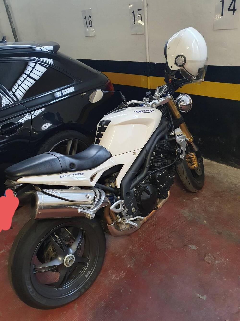 Triumph Speed Triple 1050 (2005 - 11) (2)