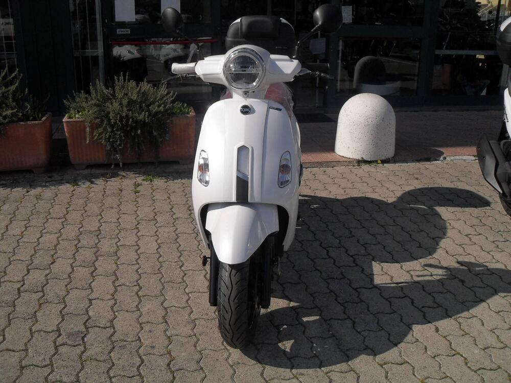 Sym Fiddle 125 (2021 - 25) (2)