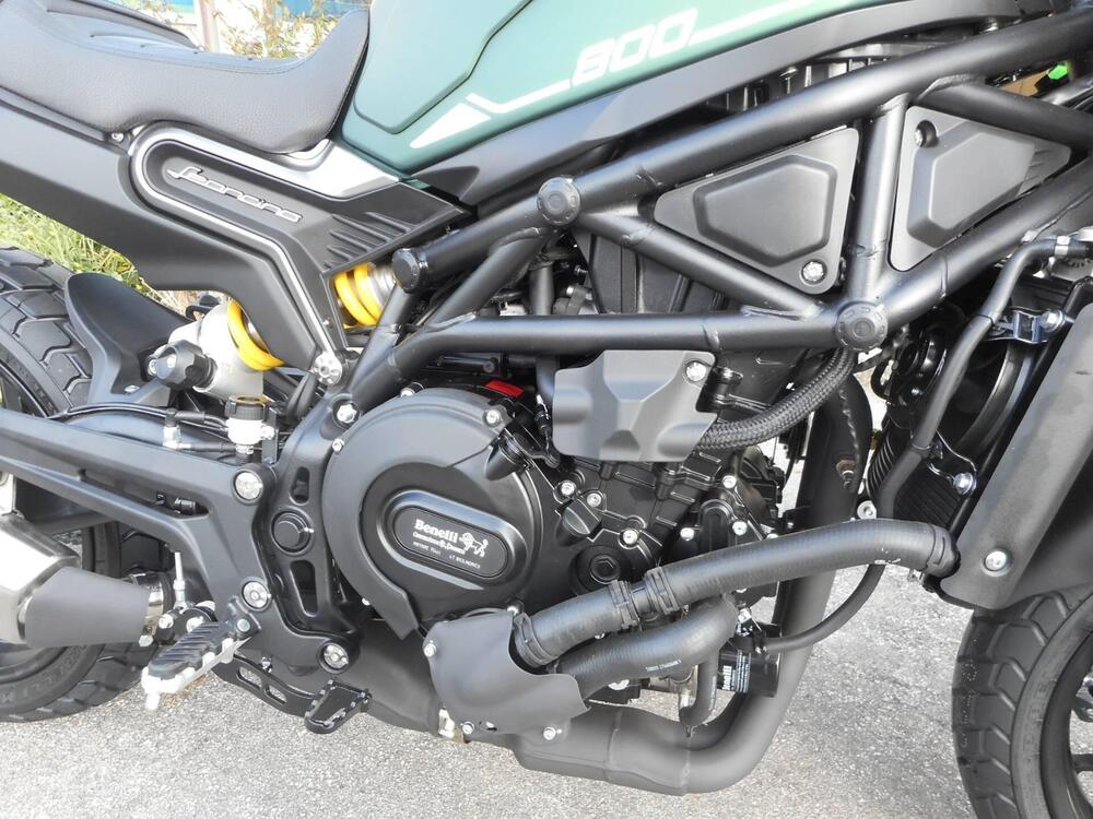 Benelli Leoncino 800 (2022 - 25) (3)