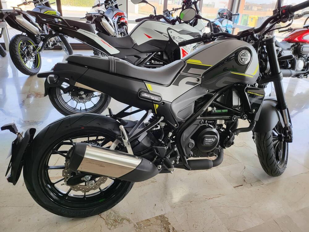 Benelli Leoncino 250 (2019 - 20) (2)