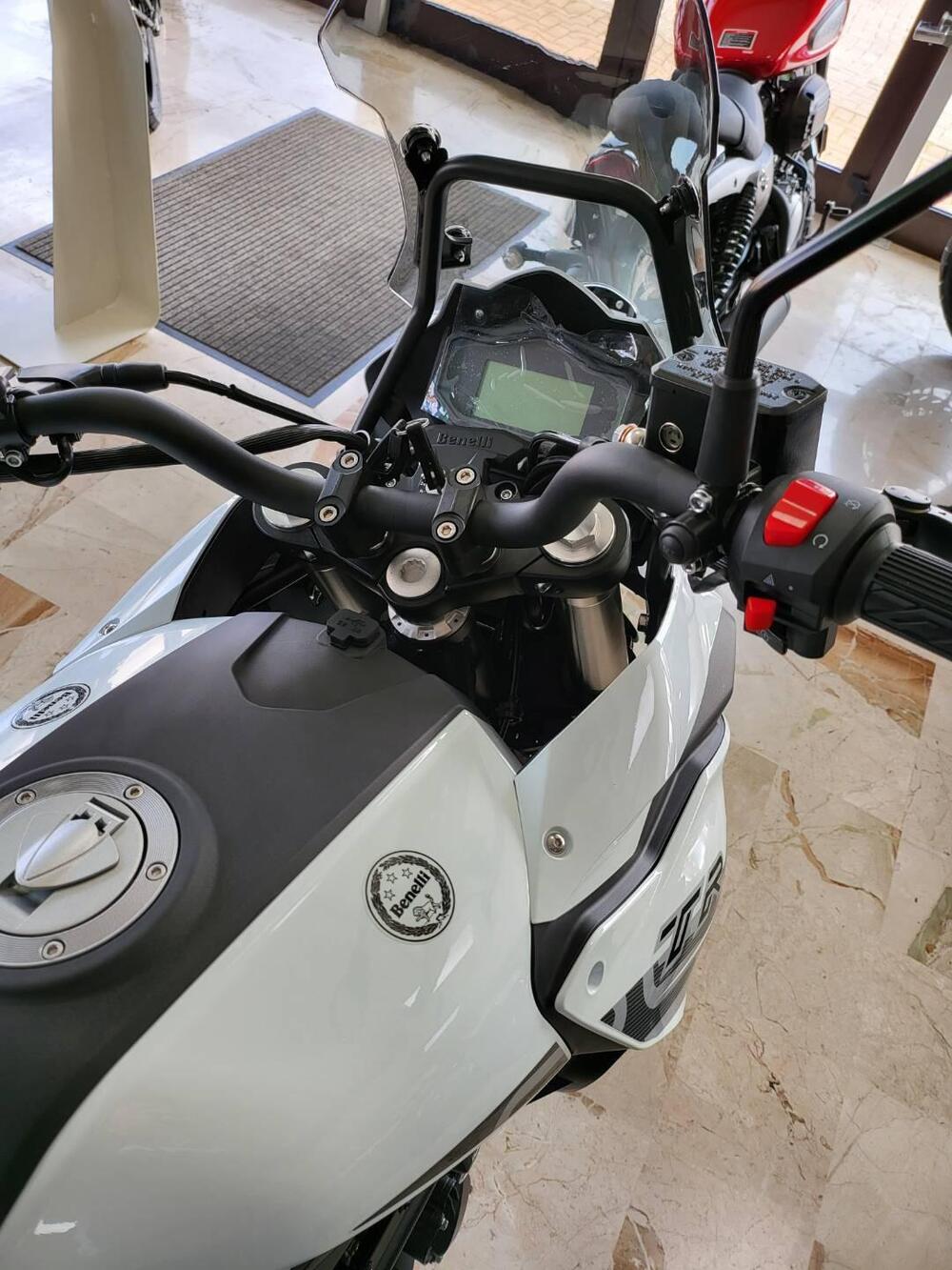 Benelli TRK 251 (2019 - 20) (3)