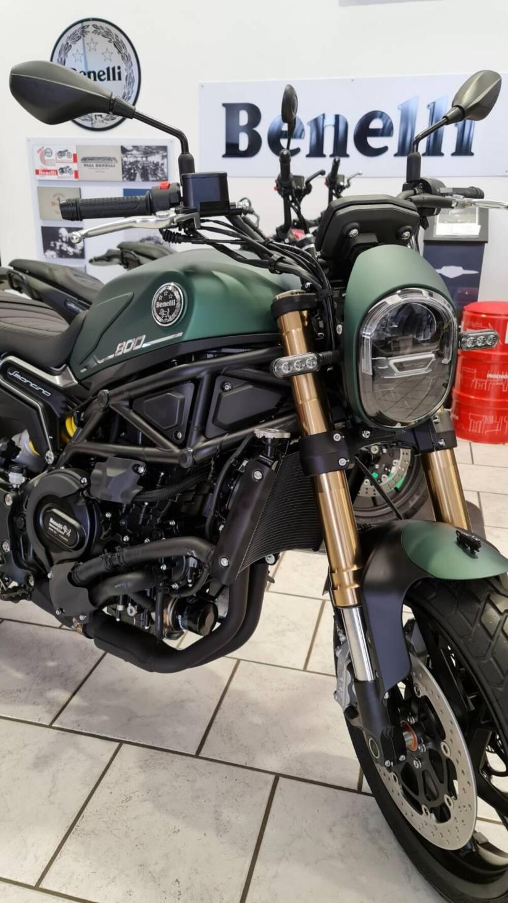 Benelli Leoncino 800 (2022 - 25)