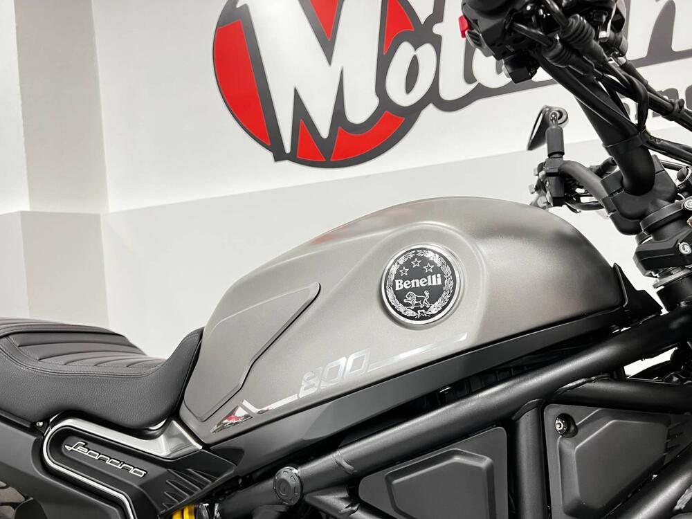 Benelli Leoncino 800 (2022 - 25) (4)