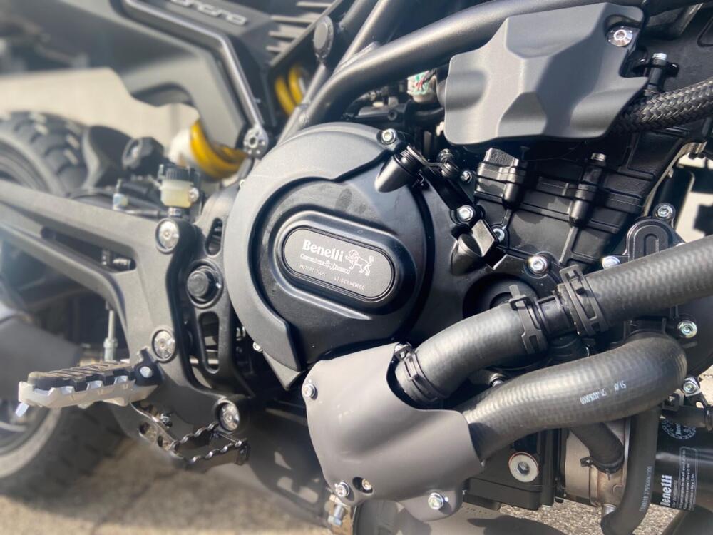 Benelli Leoncino 800 (2022 - 25) (2)