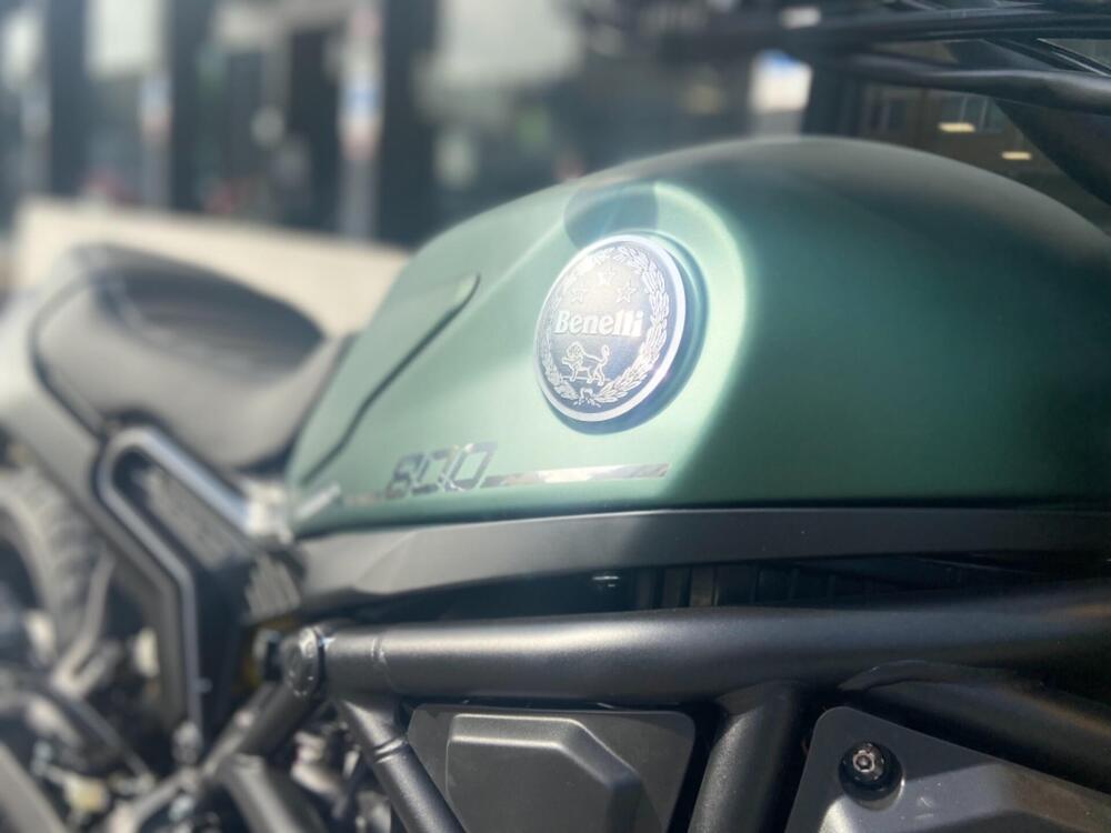 Benelli Leoncino 800 (2022 - 25) (4)