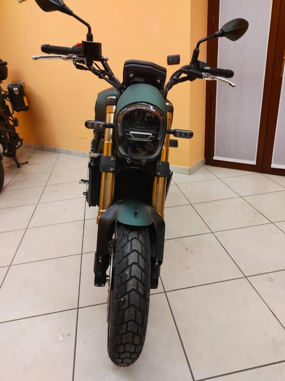 Benelli Leoncino 800 (2022 - 25) (5)