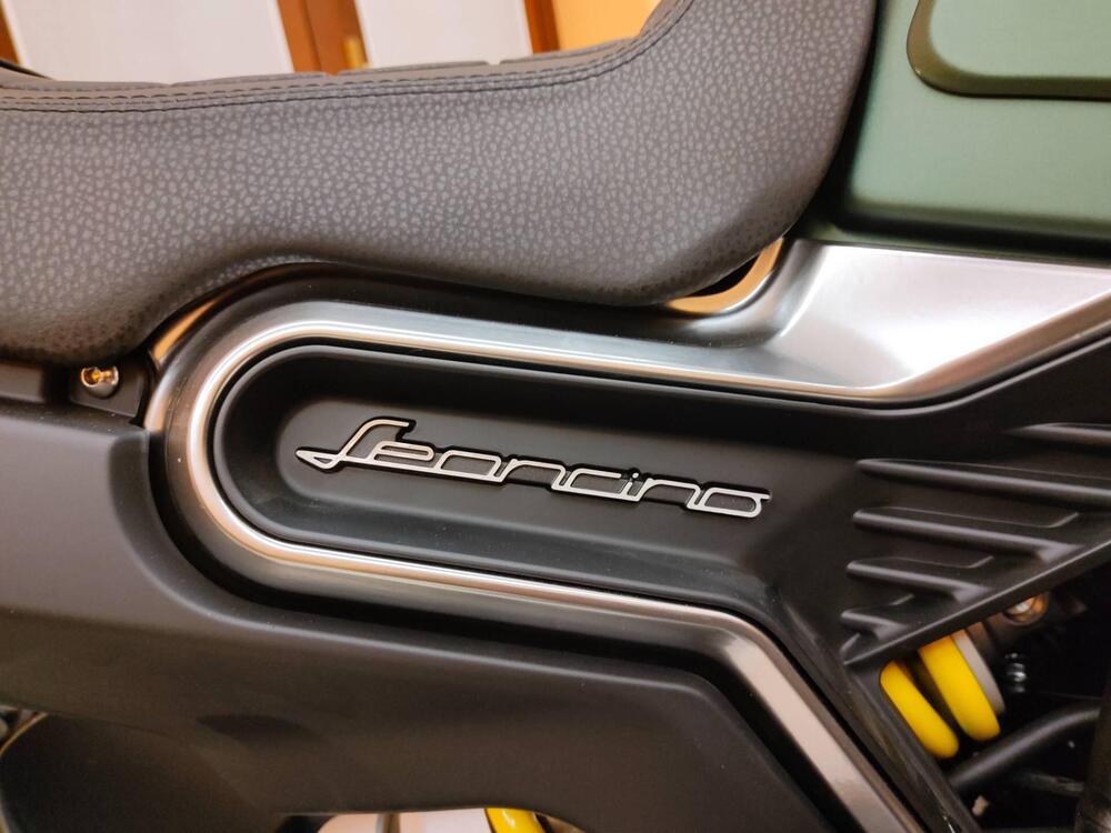 Benelli Leoncino 800 (2022 - 25) (6)