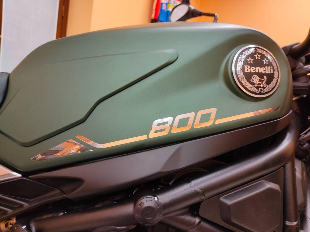 Benelli Leoncino 800 (2022 - 25) (7)