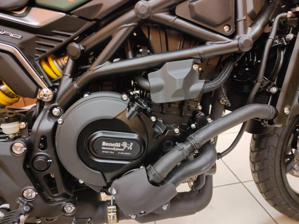 Benelli Leoncino 800 (2022 - 25) (8)
