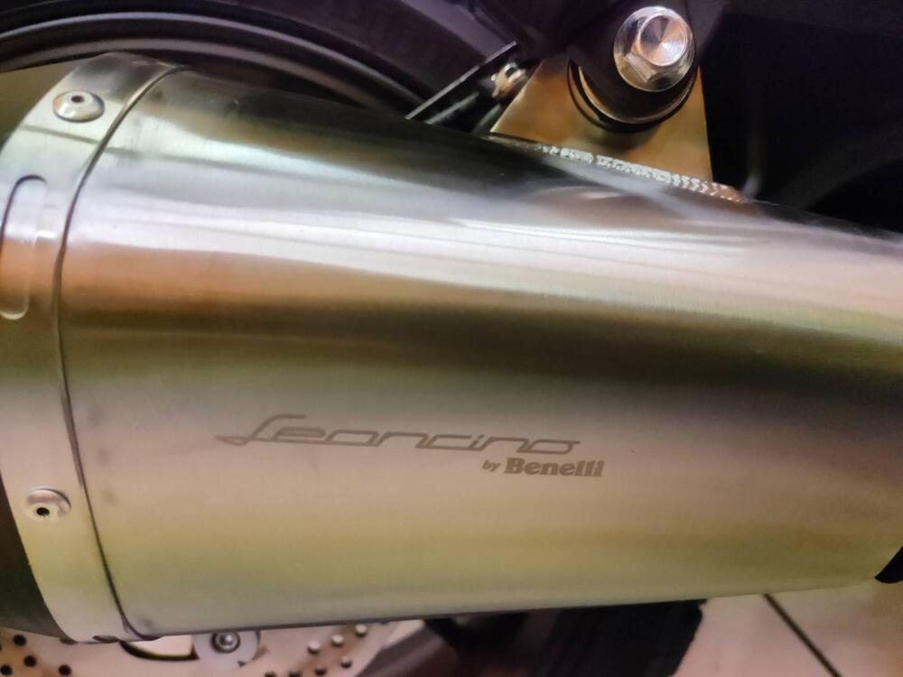 Benelli Leoncino 800 (2022 - 25) (9)