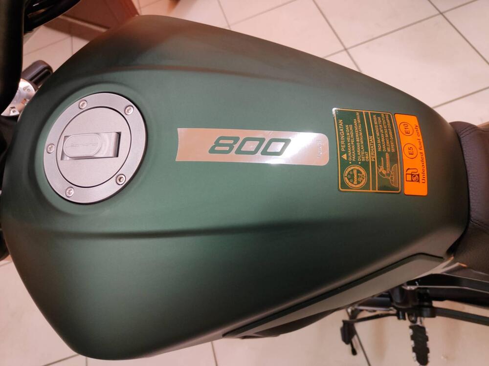 Benelli Leoncino 800 (2022 - 25) (10)