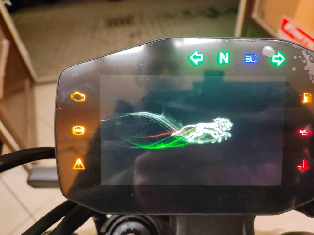 Benelli Leoncino 800 (2022 - 25) (14)