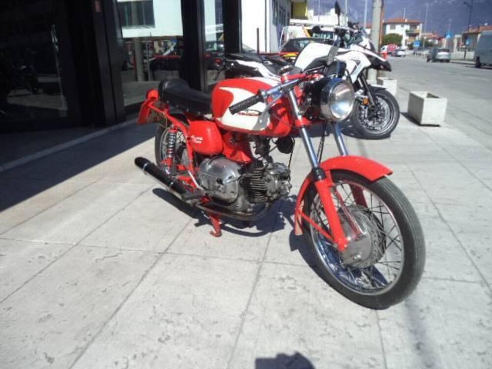 Aermacchi Harley-Davidson ALA VERDE 250 4 MARCE (3)