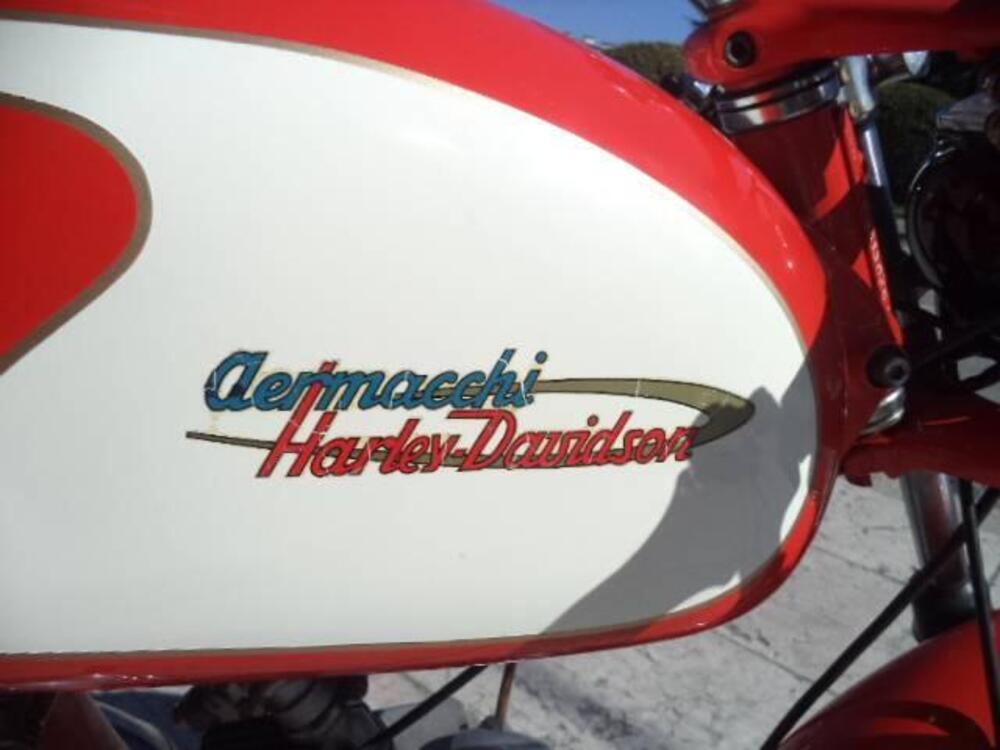 Aermacchi Harley-Davidson ALA VERDE 250 4 MARCE (18)