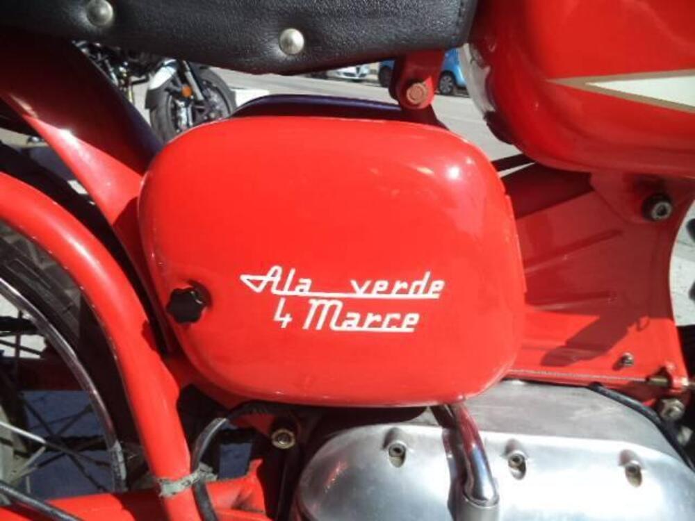 Aermacchi Harley-Davidson ALA VERDE 250 4 MARCE (19)