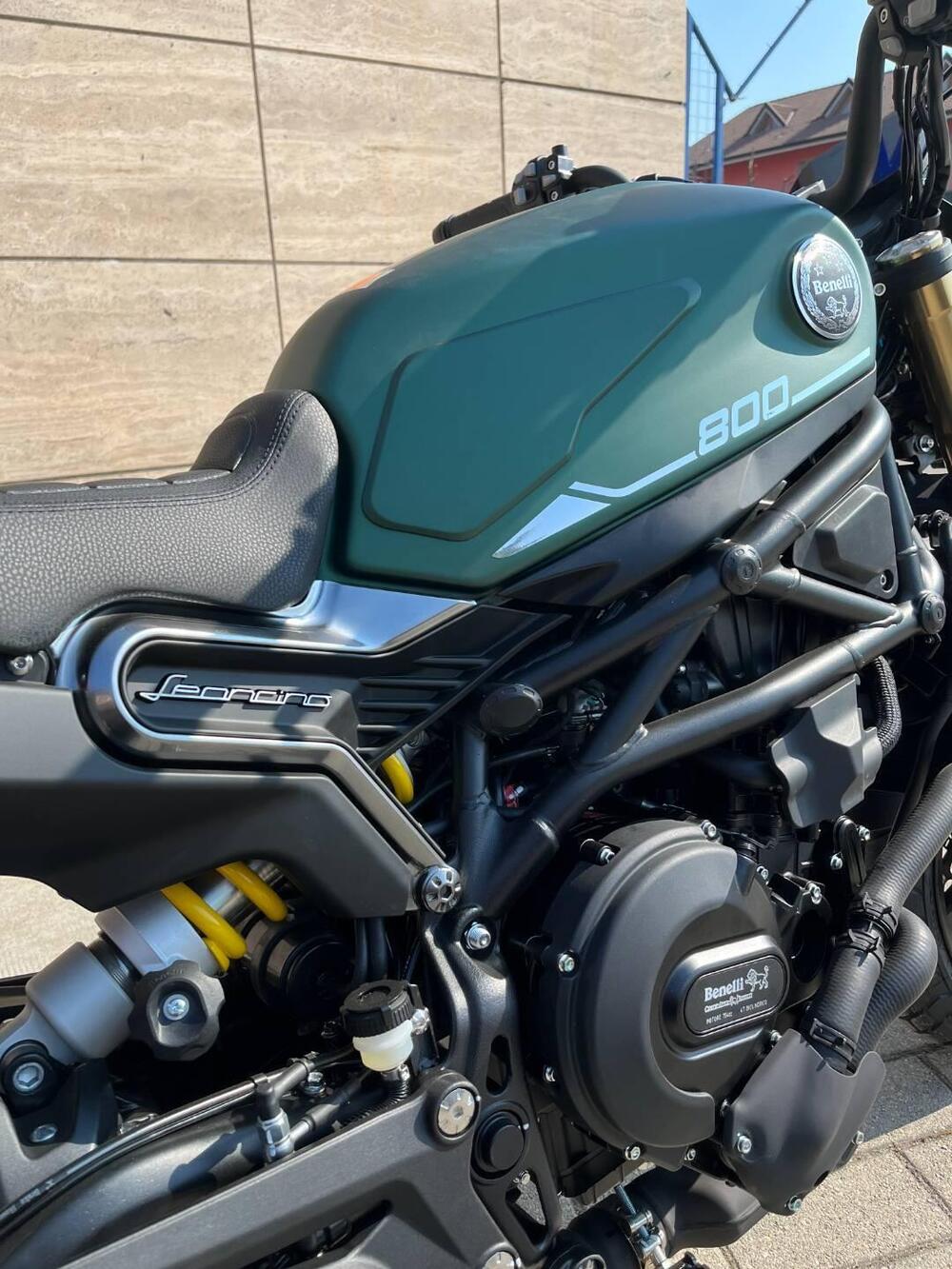 Benelli Leoncino 800 (2022 - 25) (2)