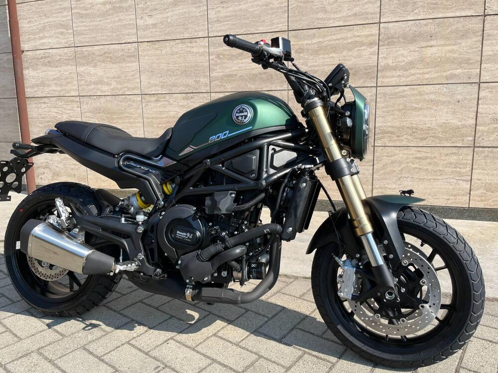 Benelli Leoncino 800 (2022 - 25) (5)