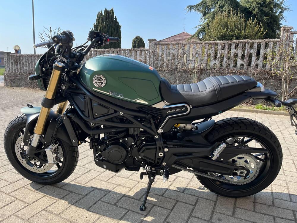 Benelli Leoncino 800 (2022 - 25) (3)