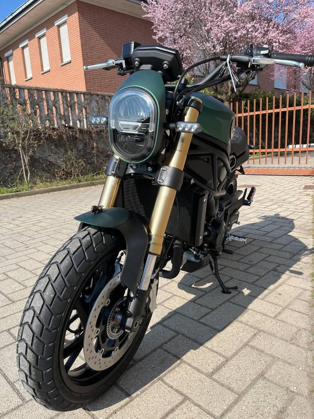 Benelli Leoncino 800 (2022 - 25) (6)