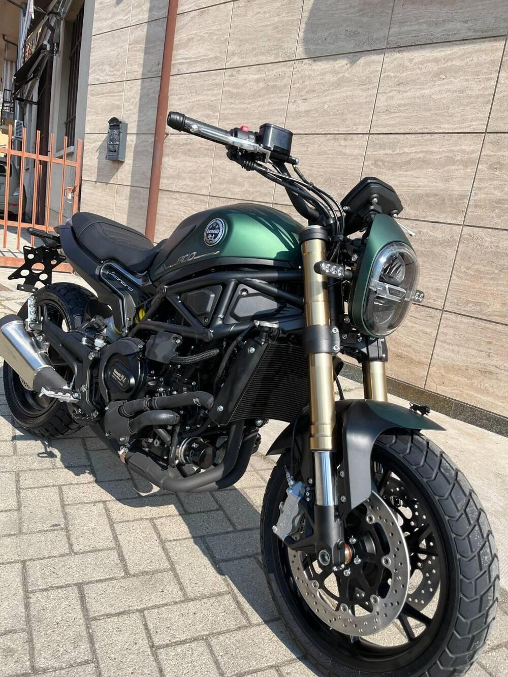 Benelli Leoncino 800 (2022 - 25)