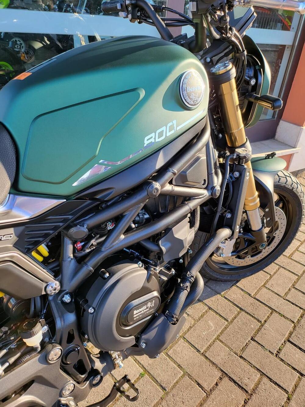 Benelli Leoncino 800 (2022 - 25) (6)